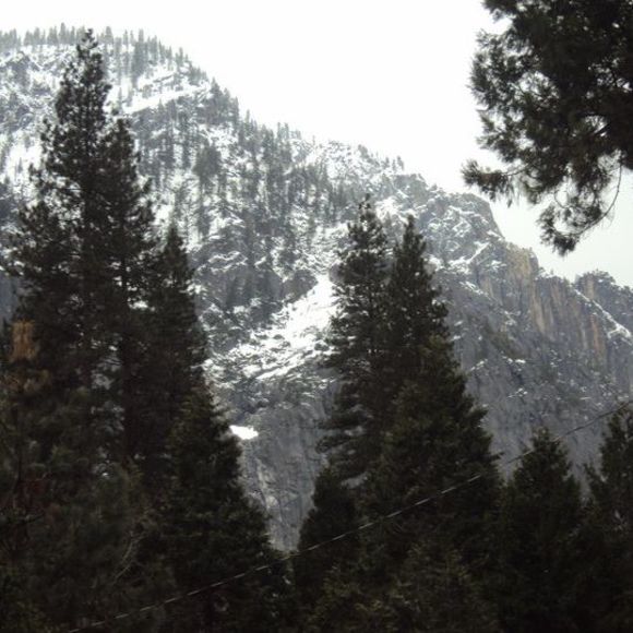 Meet your Posher, Noel - Picture 1 of 1